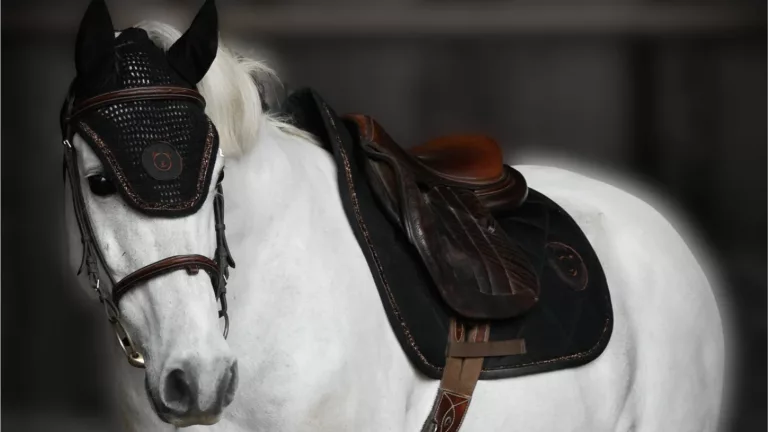 Ensemble Tapis de selle Dressage & Bonnet